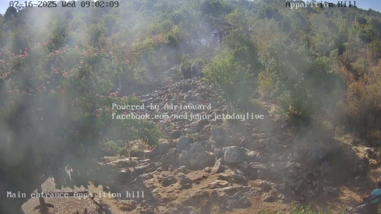 A hazy view of a rocky pathway ascending a hillside covered in low-lying vegetation, with several people walking uphill.