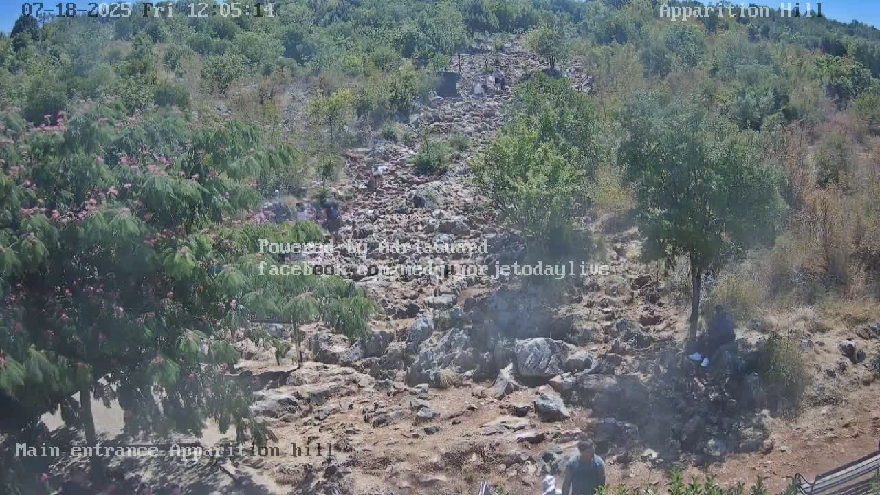 A rocky hillside covered in scrubby trees and bushes under a bright, sunny sky, with a few people walking and sitting on the rocks.
