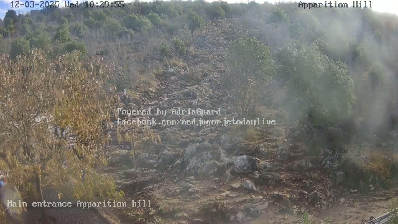 A rocky, unpaved path ascends a rugged hillside covered with dry vegetation and scattered trees under hazy or misty daylight conditions.