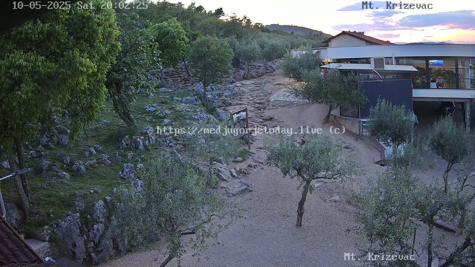 A rocky, grassy path winds through a landscape of olive trees toward a modern building under a twilight sky.