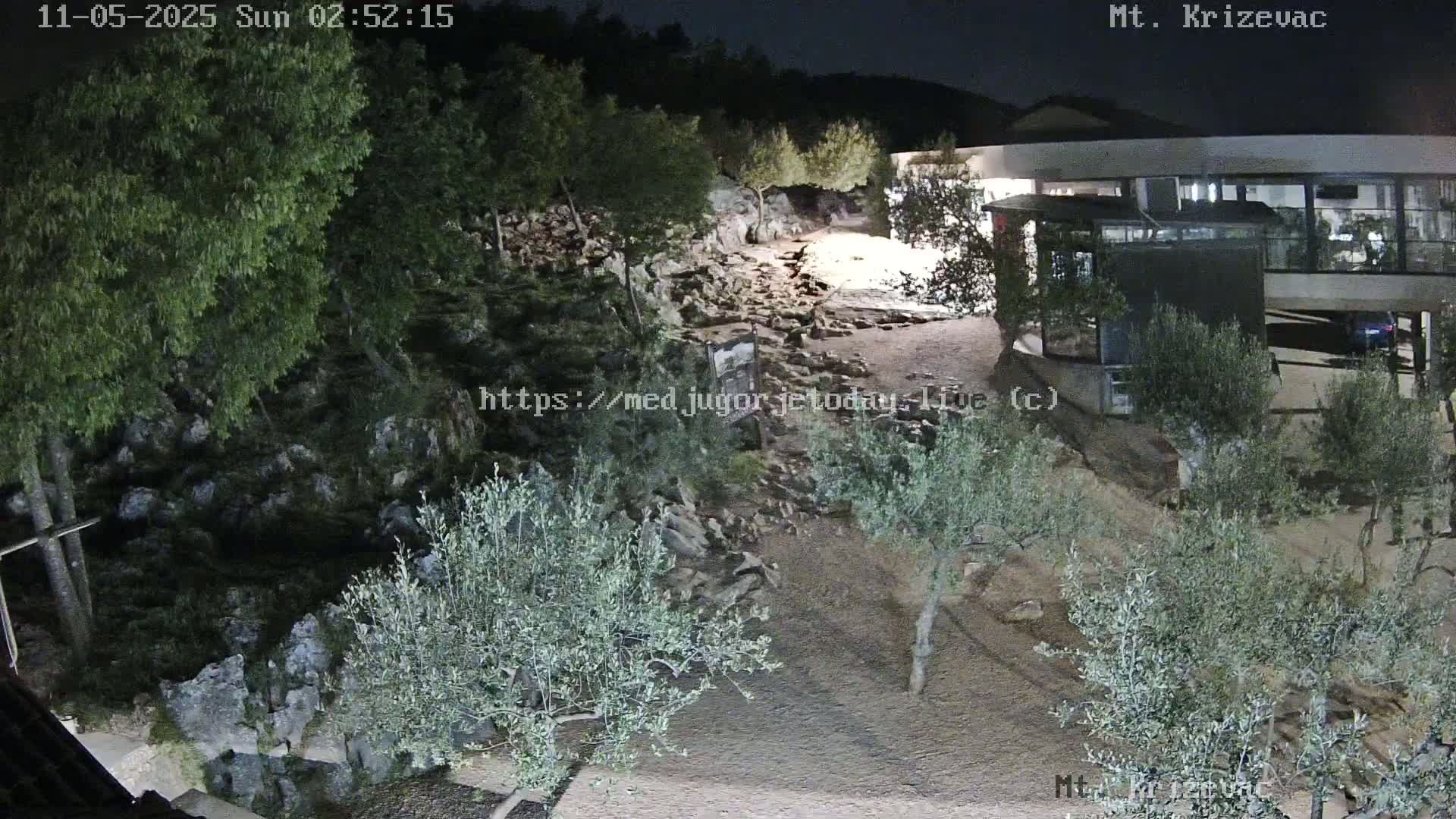 A nighttime view of a rocky, sparsely vegetated area with small olive trees and a modern building in the background under a dark sky.