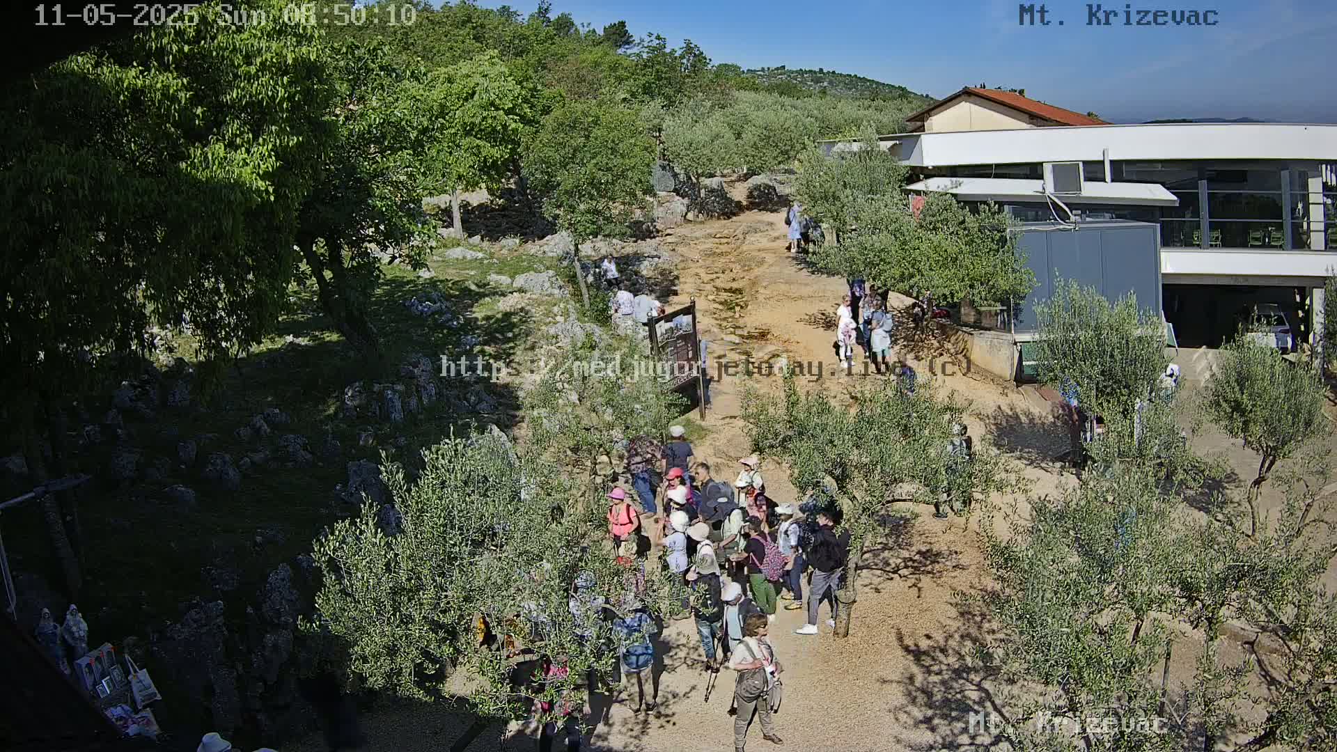 A large group of people gathers on a sunny, dry path amongst olive trees near a building.