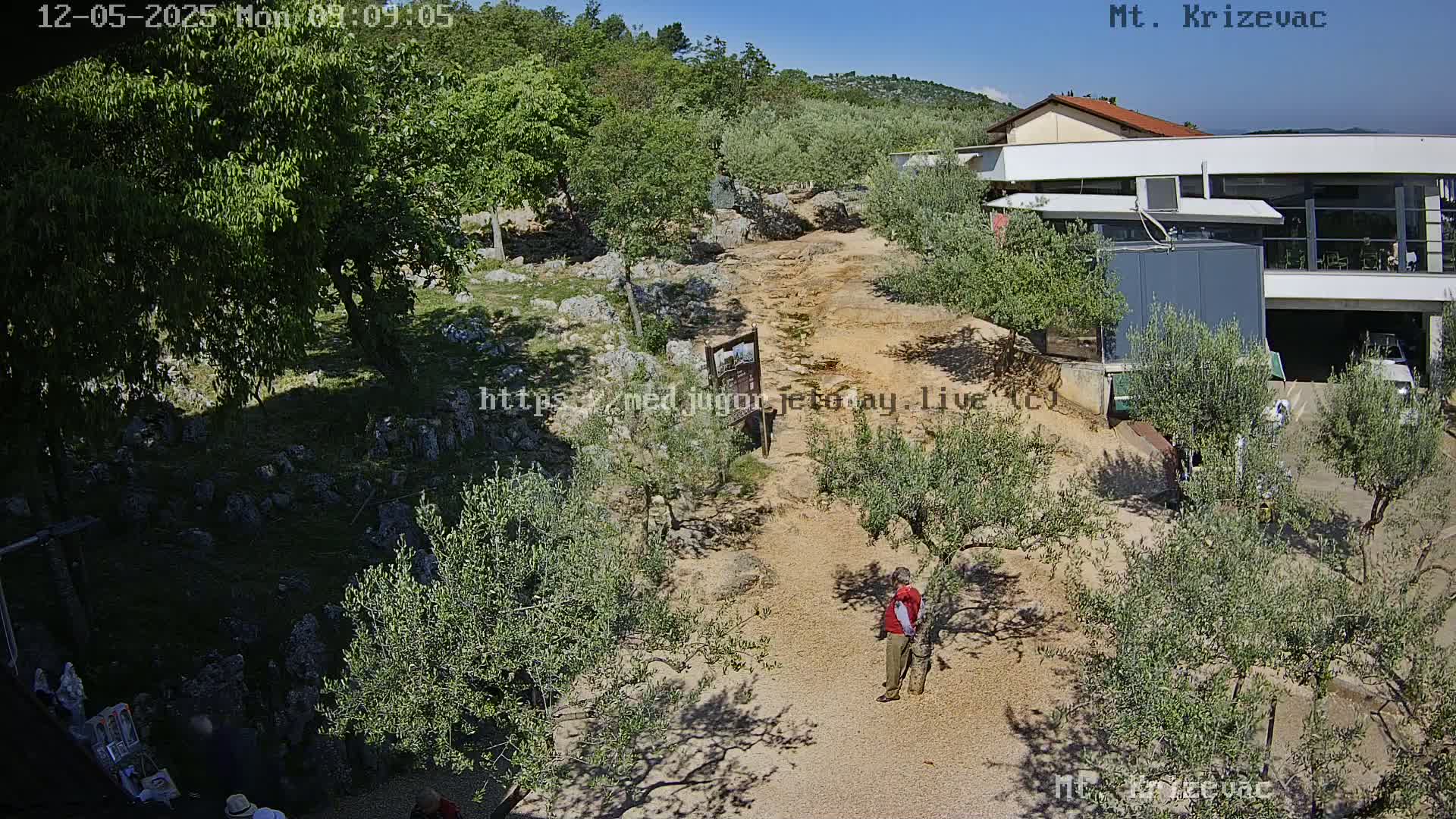 A sunny day reveals a dirt path winding through olive groves toward a modern building, with a person standing near the path.