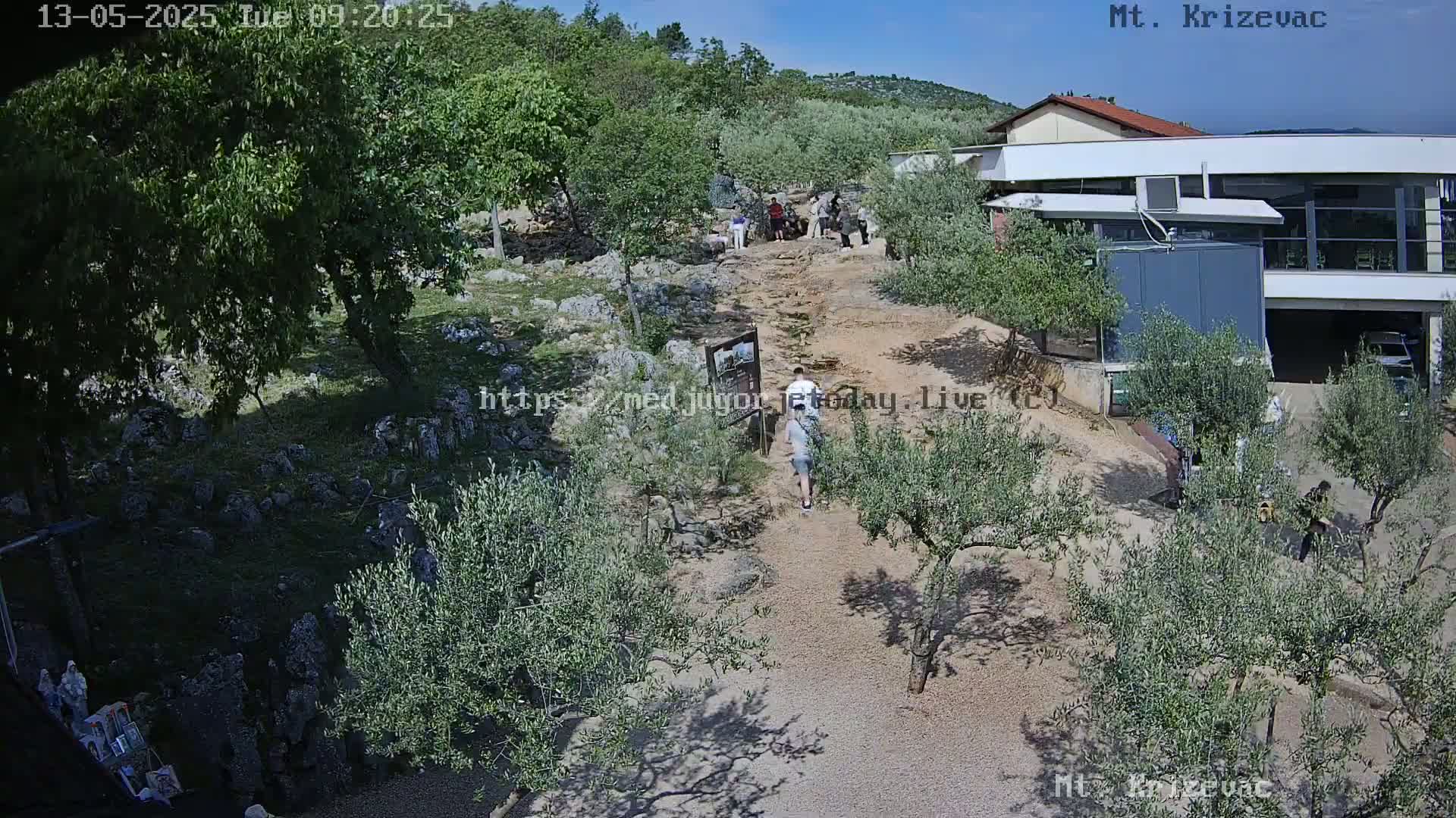 A sunny outdoor scene shows a gravel path winding through olive trees toward a modern building, with several people walking along the path.