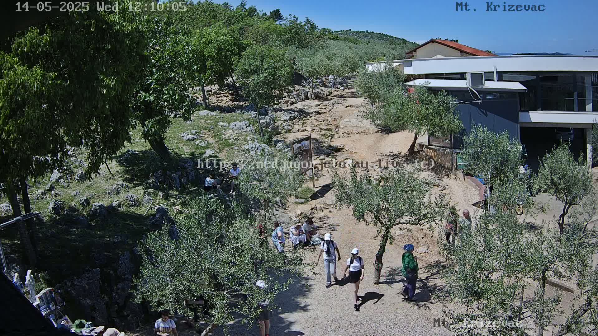 A sunny day shows a group of people walking on a gravel path amongst olive trees and rocky terrain near a building.
