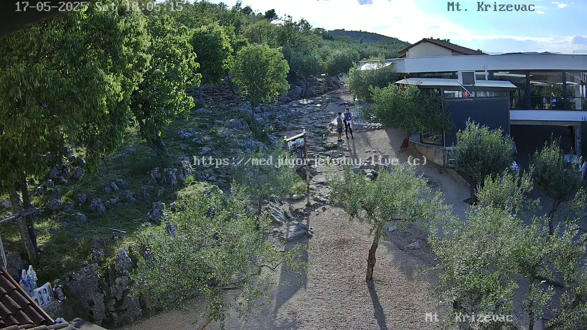 A rocky, sun-drenched path winds through olive trees toward a modern building, with a few people visible near the structure.