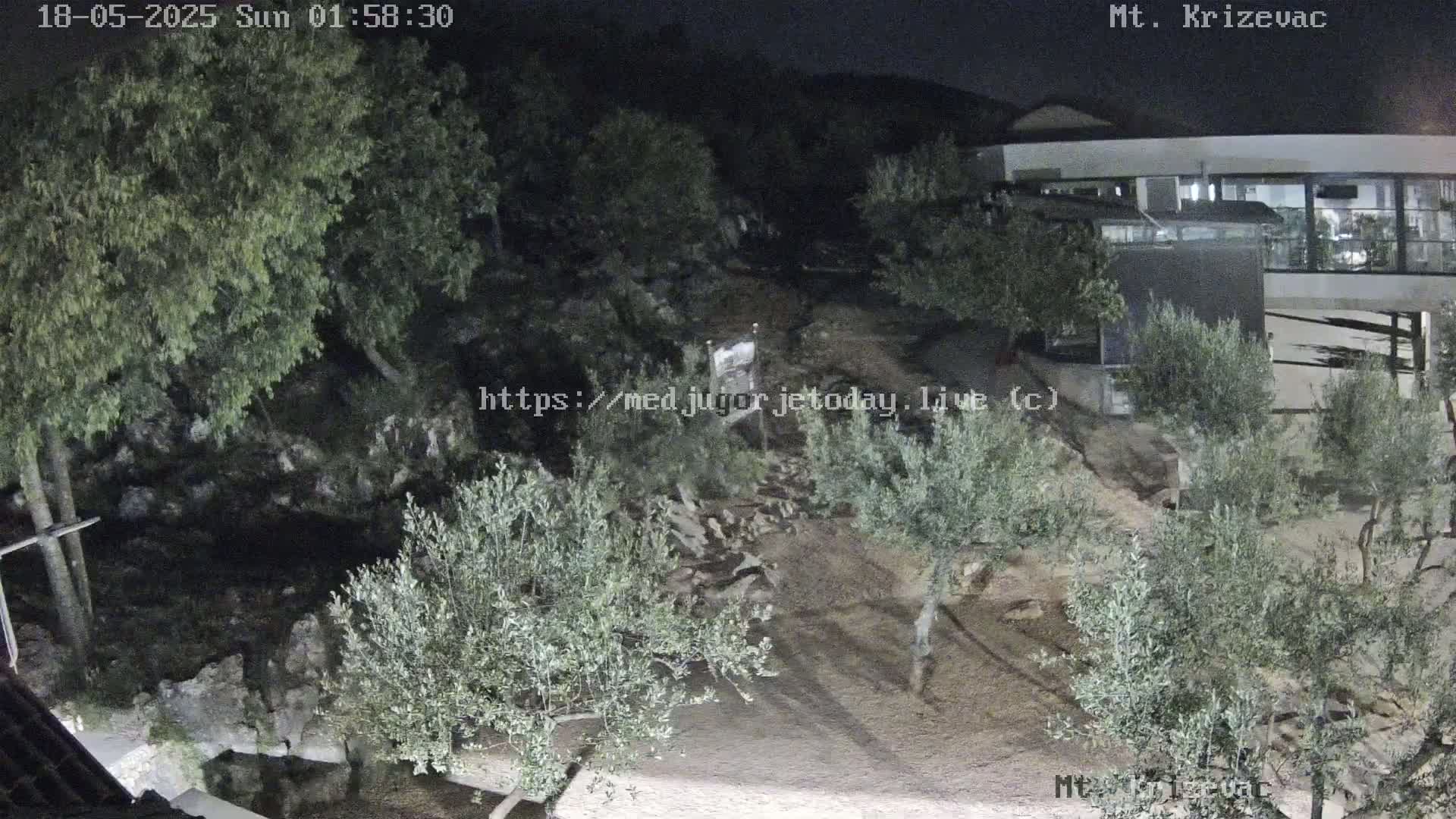 A nighttime, outdoor scene shows a rocky, sparsely vegetated area with olive trees near a modern building under a clear, dark sky.