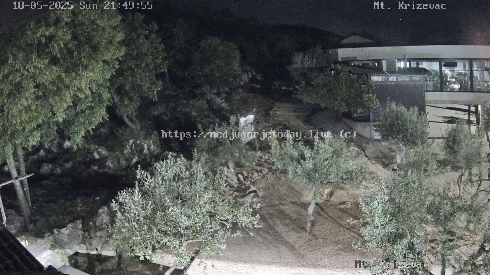 A nighttime view of a rocky, sparsely vegetated area with olive trees and a building in the background under a clear, dark sky.