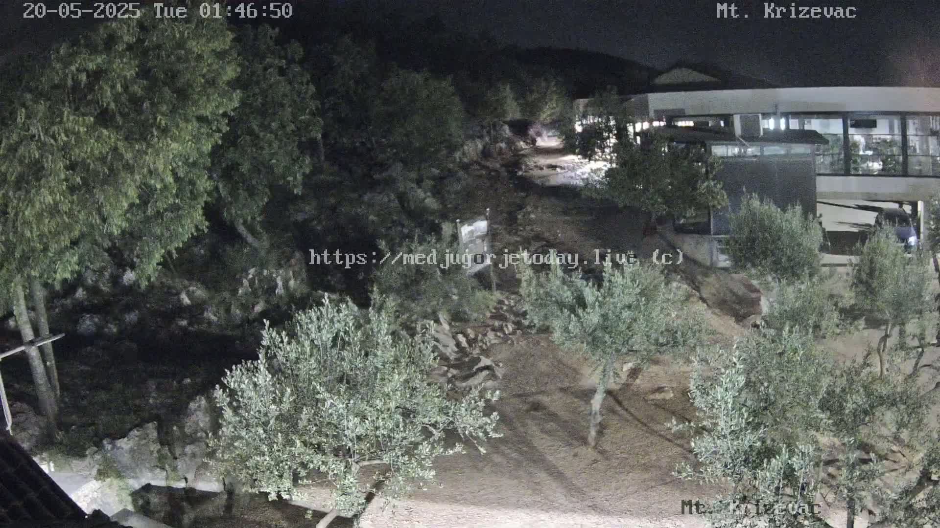 A nighttime, outdoor view shows a rocky, sparsely vegetated area with olive trees and a modern building in the background under dark conditions.