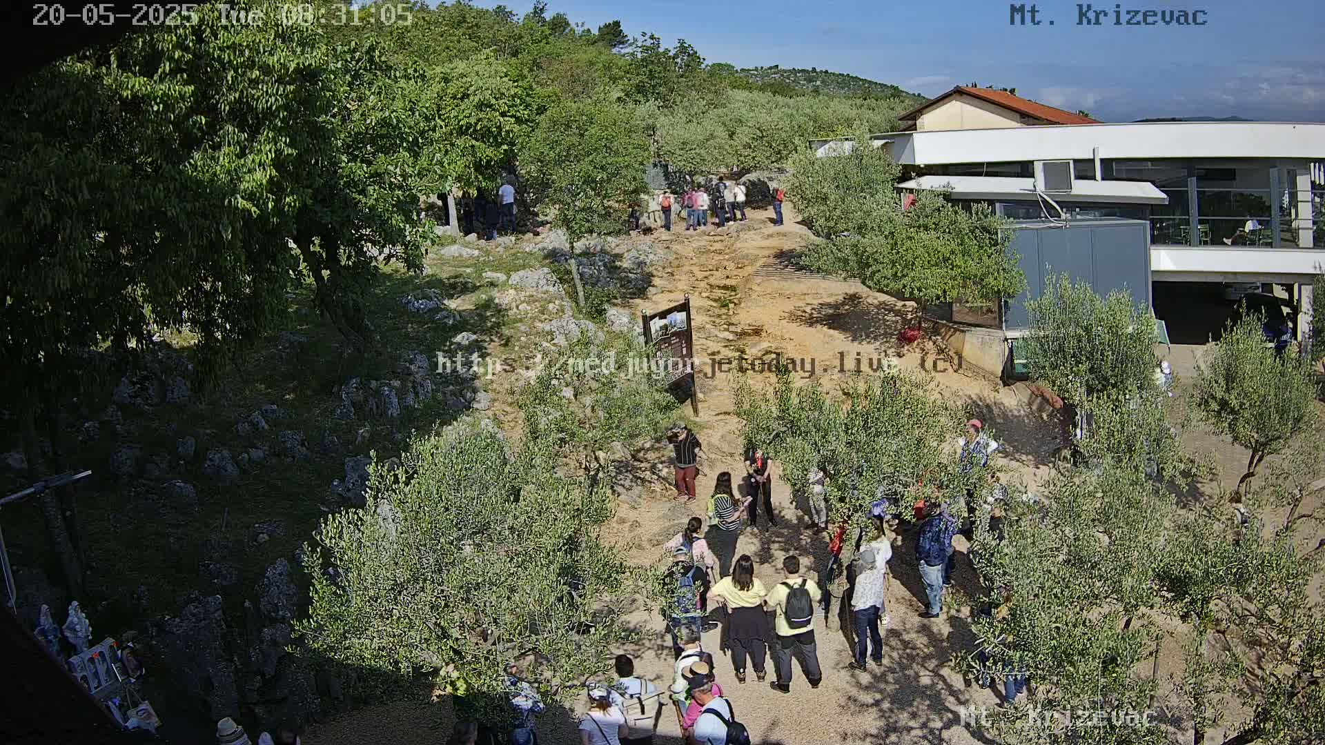 A group of people stand in a sunny, outdoor area with olive trees and a building in the background.