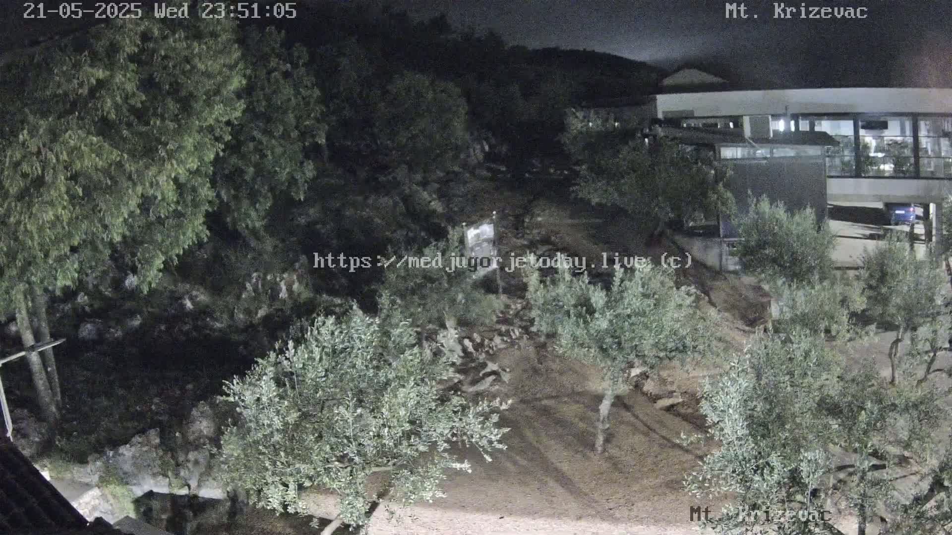 A nighttime view of a rocky, sparsely vegetated area with olive trees near a building under a mostly clear sky.