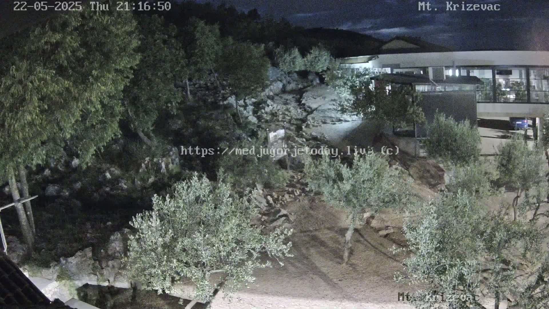 A nighttime view of a rocky hillside with olive trees, a building, and a parking area under a dark, clear sky.
