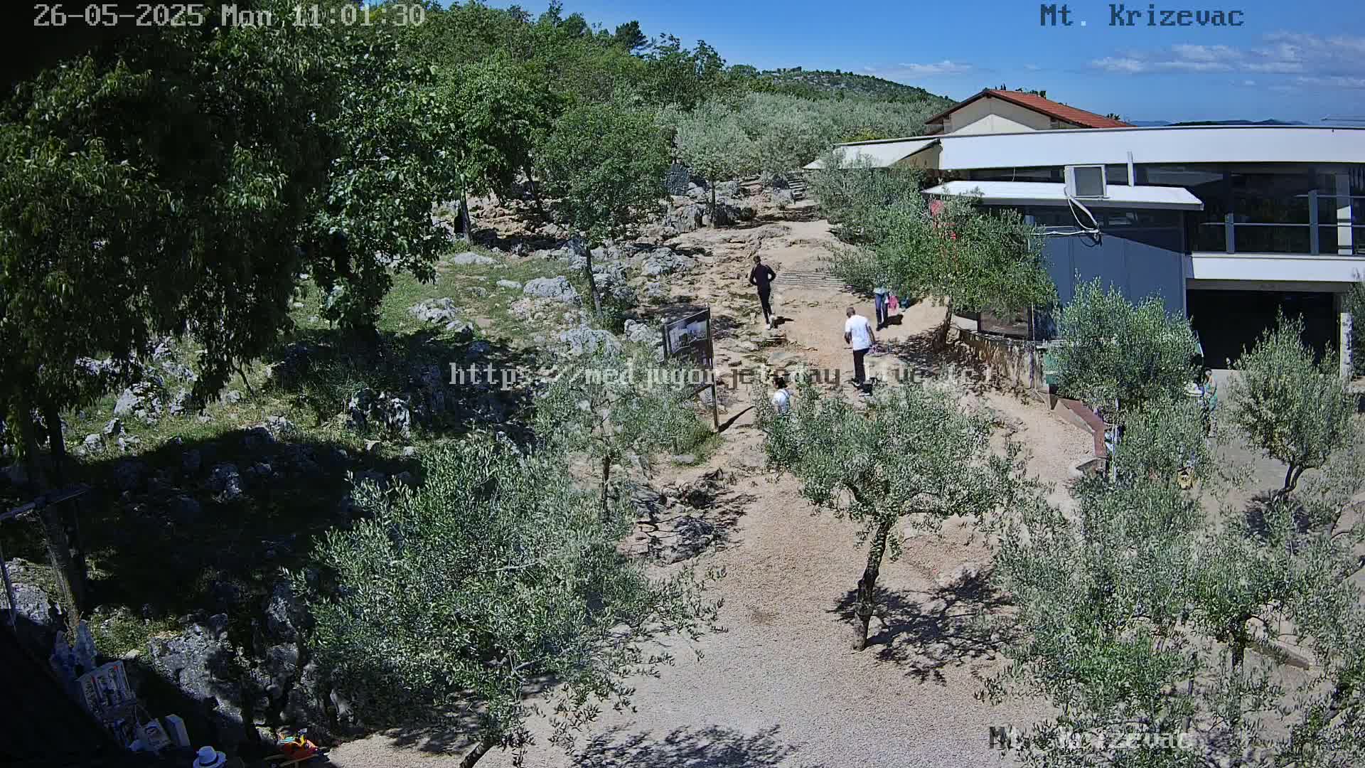 A sunny outdoor scene shows a gravel path winding through olive trees toward a modern building, with several people walking along the path.