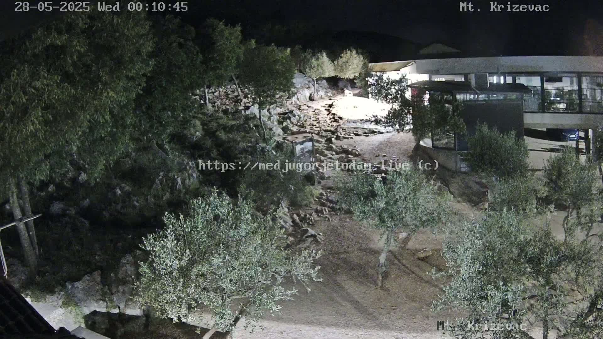 A nighttime, outdoor view of a rocky, sparsely vegetated area with olive trees near a modern building under a dark sky.