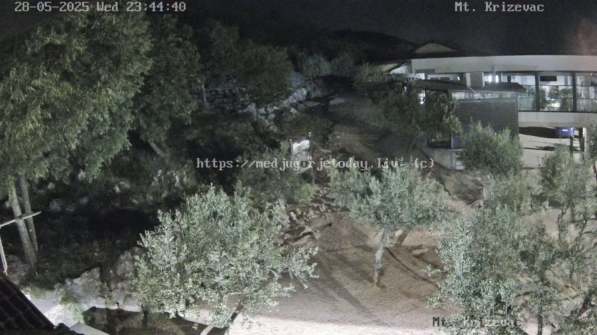 A nighttime, outdoor scene shows a rocky hillside with olive trees, illuminated by artificial light, near a modern building.