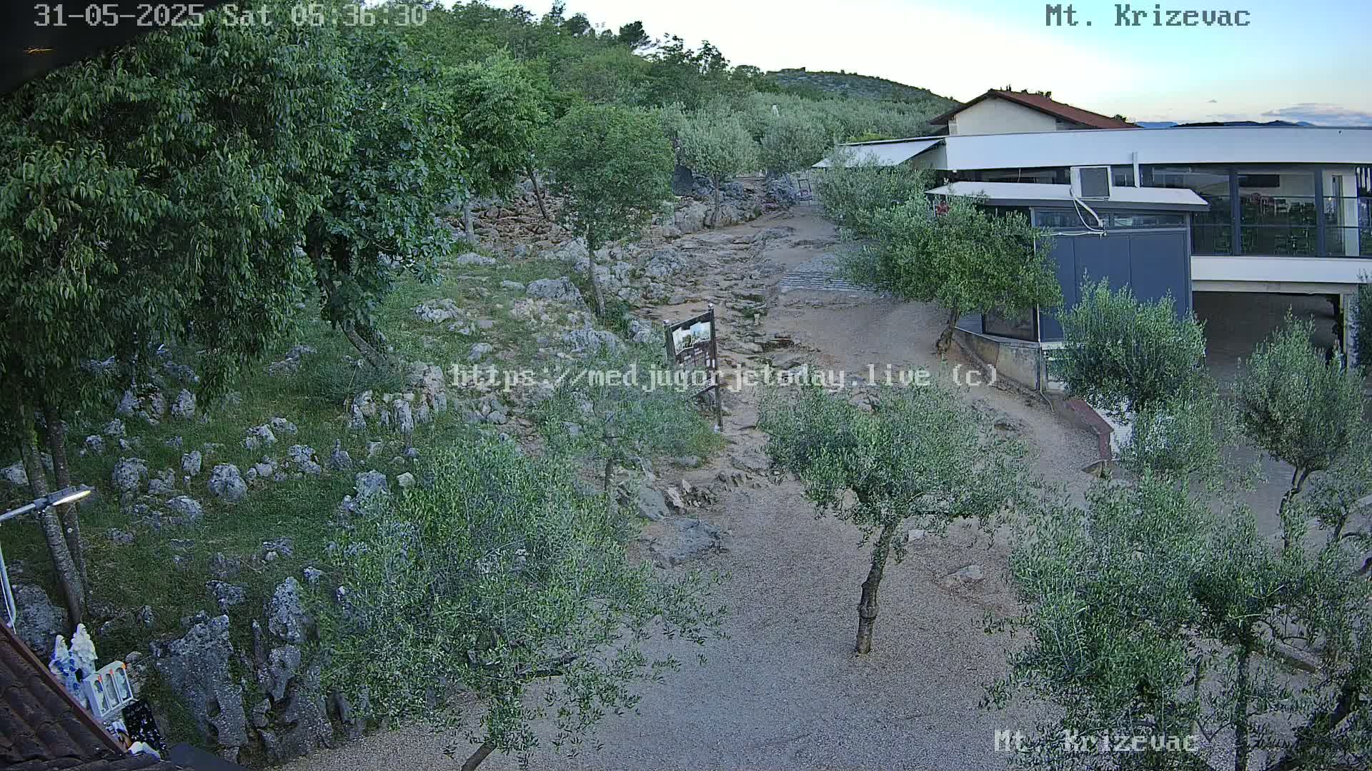 An outdoor scene under a clear sky shows a rocky path leading to a modern building amidst olive trees and grassy areas with scattered rocks.