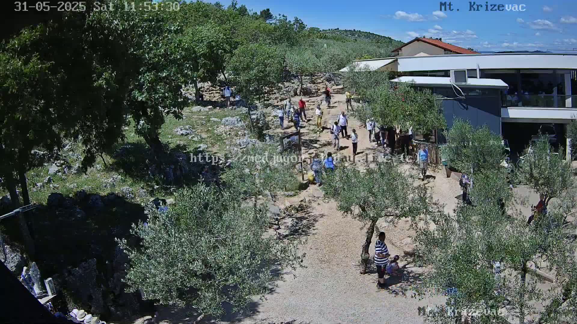 A sunny day reveals a gravel path winding through olive trees toward a building, where numerous people are gathered, some walking and others standing in small groups.