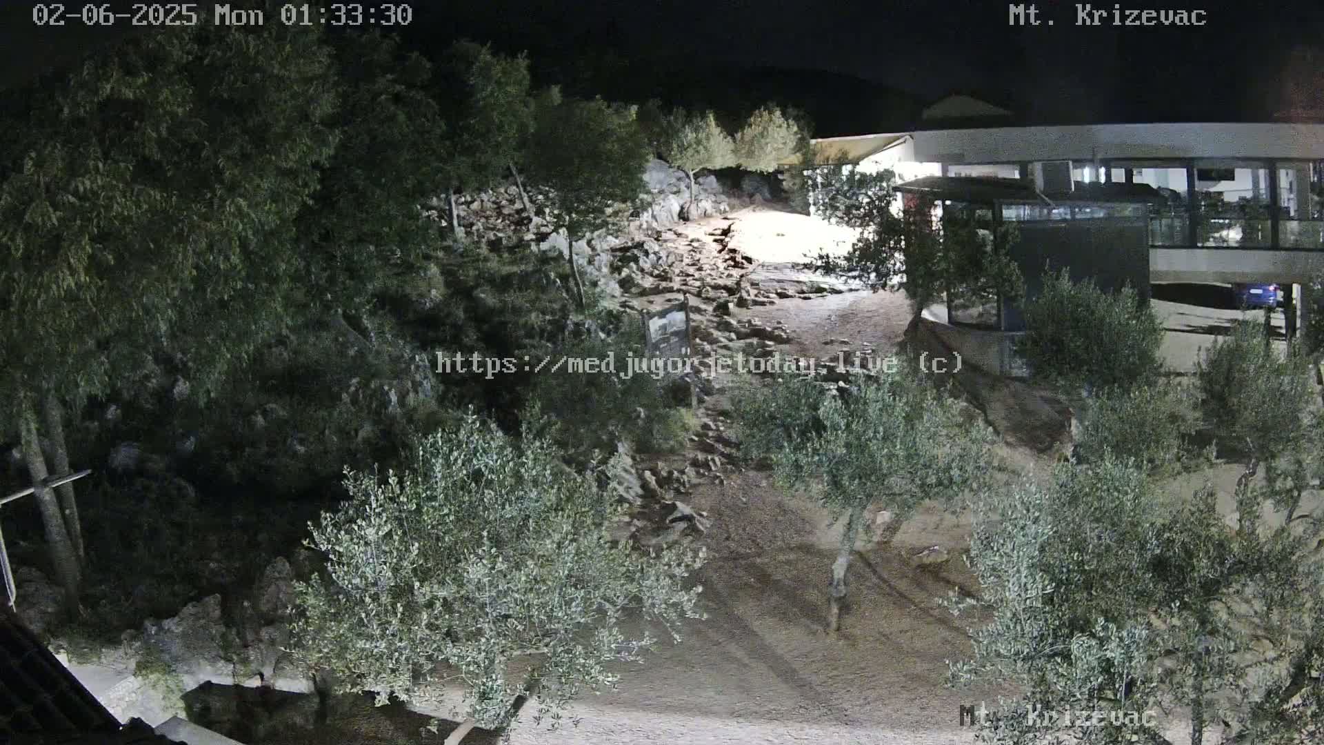 A nighttime, outdoor view of a rocky path illuminated by artificial light, winding through olive trees towards a building.