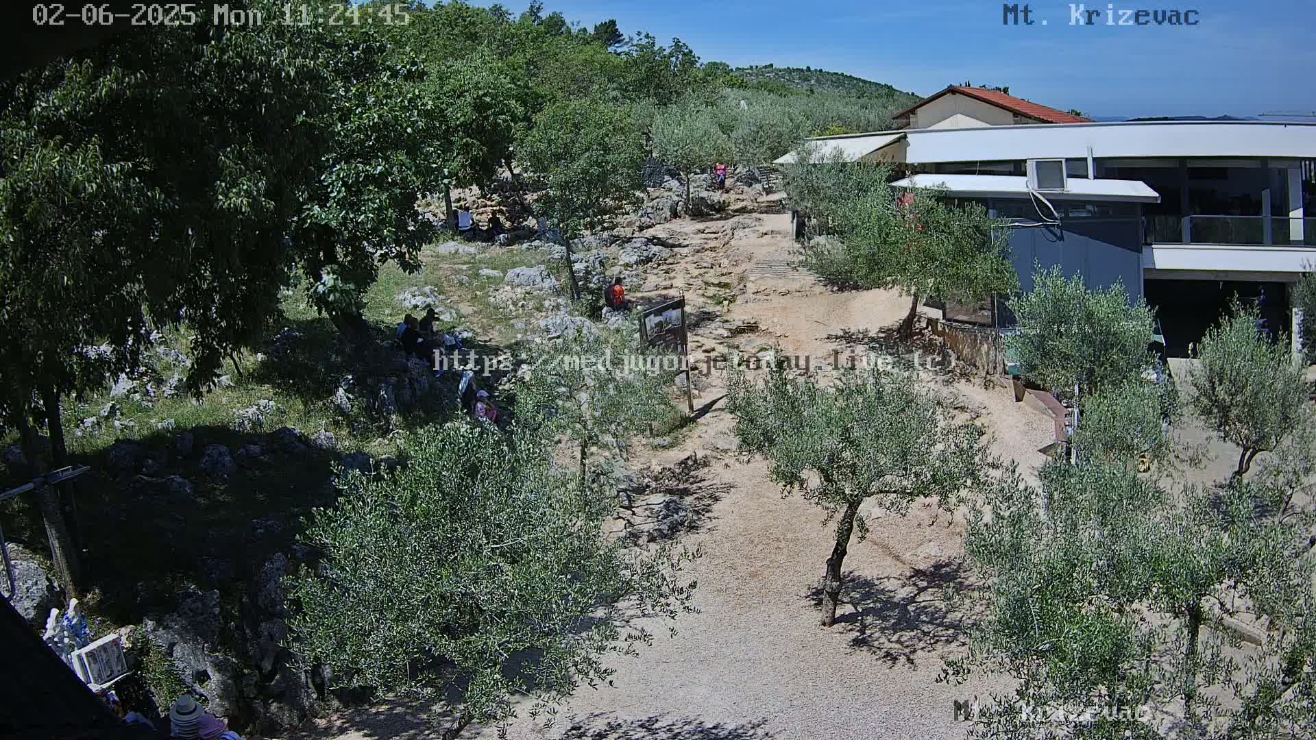 A rocky, sun-drenched path winds through a grove of olive trees toward a modern building, with several people scattered about the area.