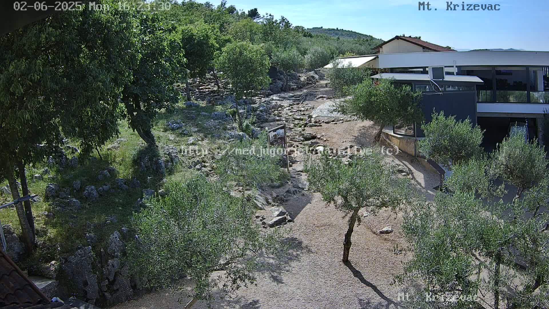 An outdoor scene on a sunny day shows a rocky path winding through a landscape of olive trees and low-lying vegetation, leading towards a modern building nestled among hills.