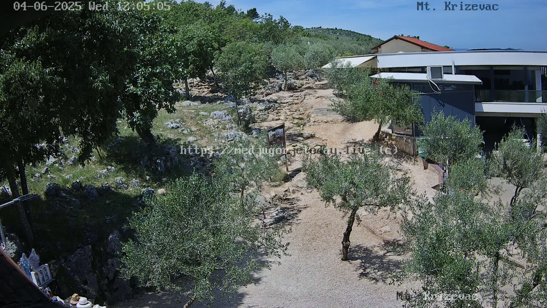A rocky, sunlit path winds through a grove of olive trees toward a modern building, under a clear blue sky.
