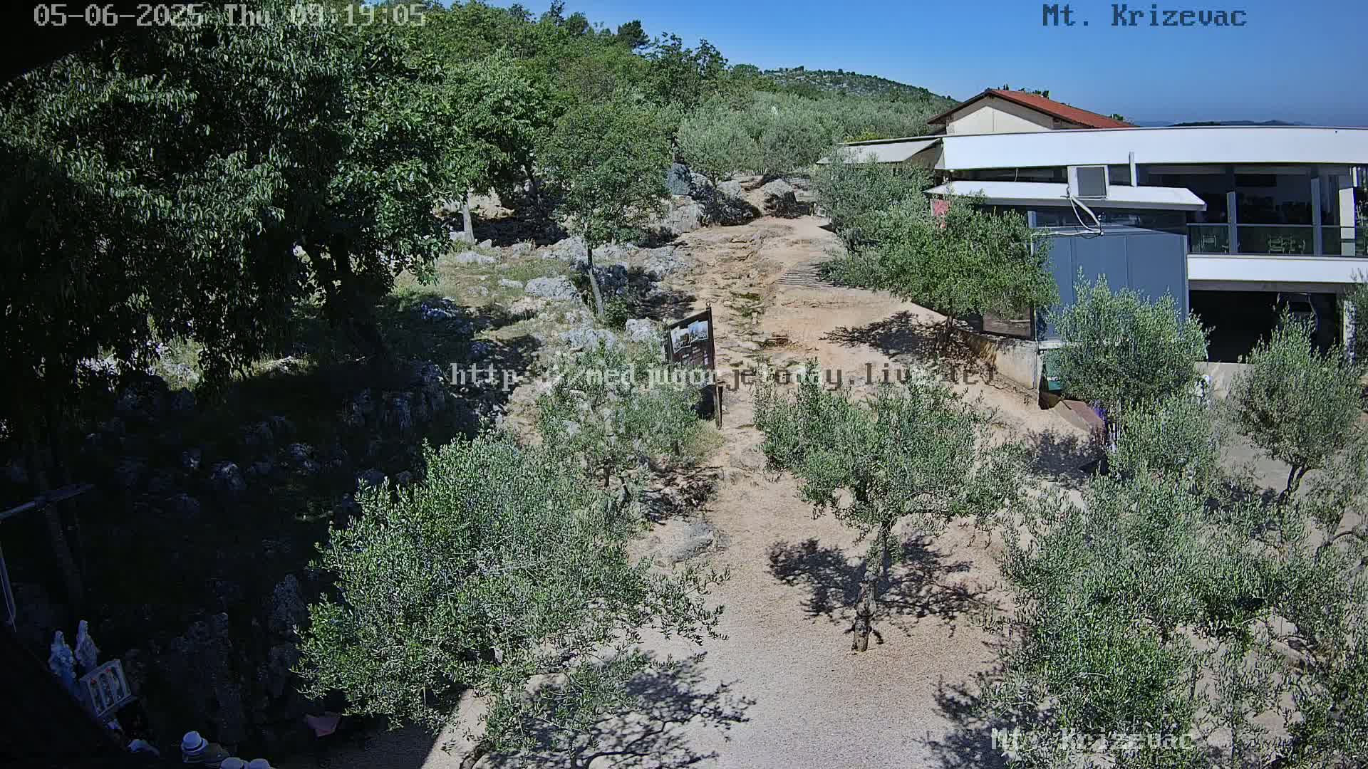 A rocky, sun-drenched path winds between olive trees toward a modern building under a clear blue sky.