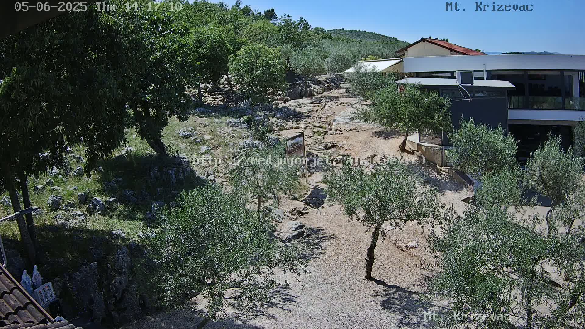 A rocky, sun-drenched landscape with olive trees, a modern building, and a path leading toward a hillside under a clear blue sky.