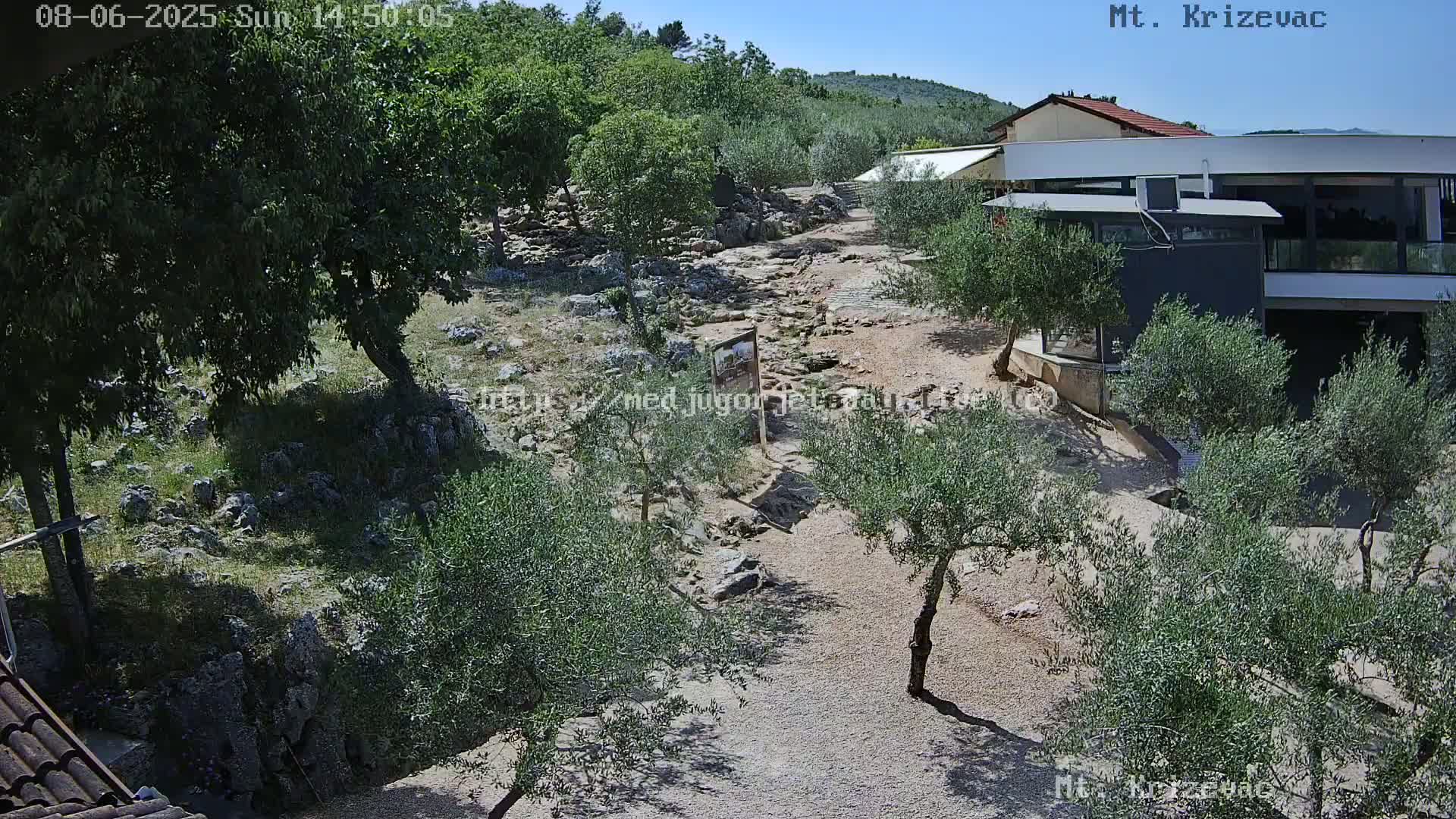 A rocky, sunlit path winds through a landscape of olive trees and low vegetation toward a modern building nestled against a hillside under a clear blue sky.