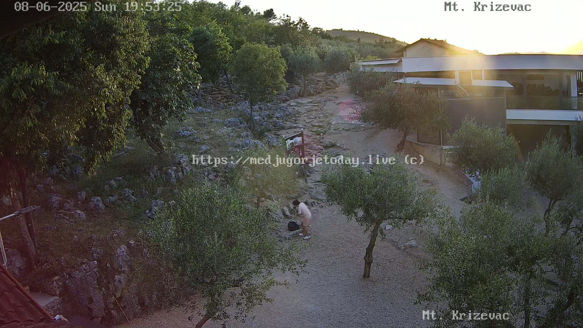 A person is walking on a rocky path amongst olive trees near a modern building at sunset.