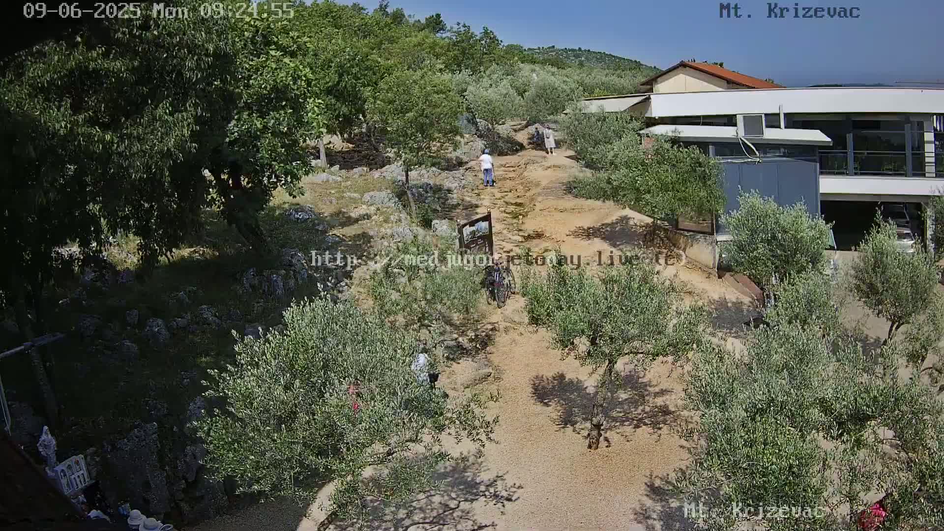 A gravel path winds through a sunny landscape dotted with olive trees, leading to a modern building, with several people walking along the path.
