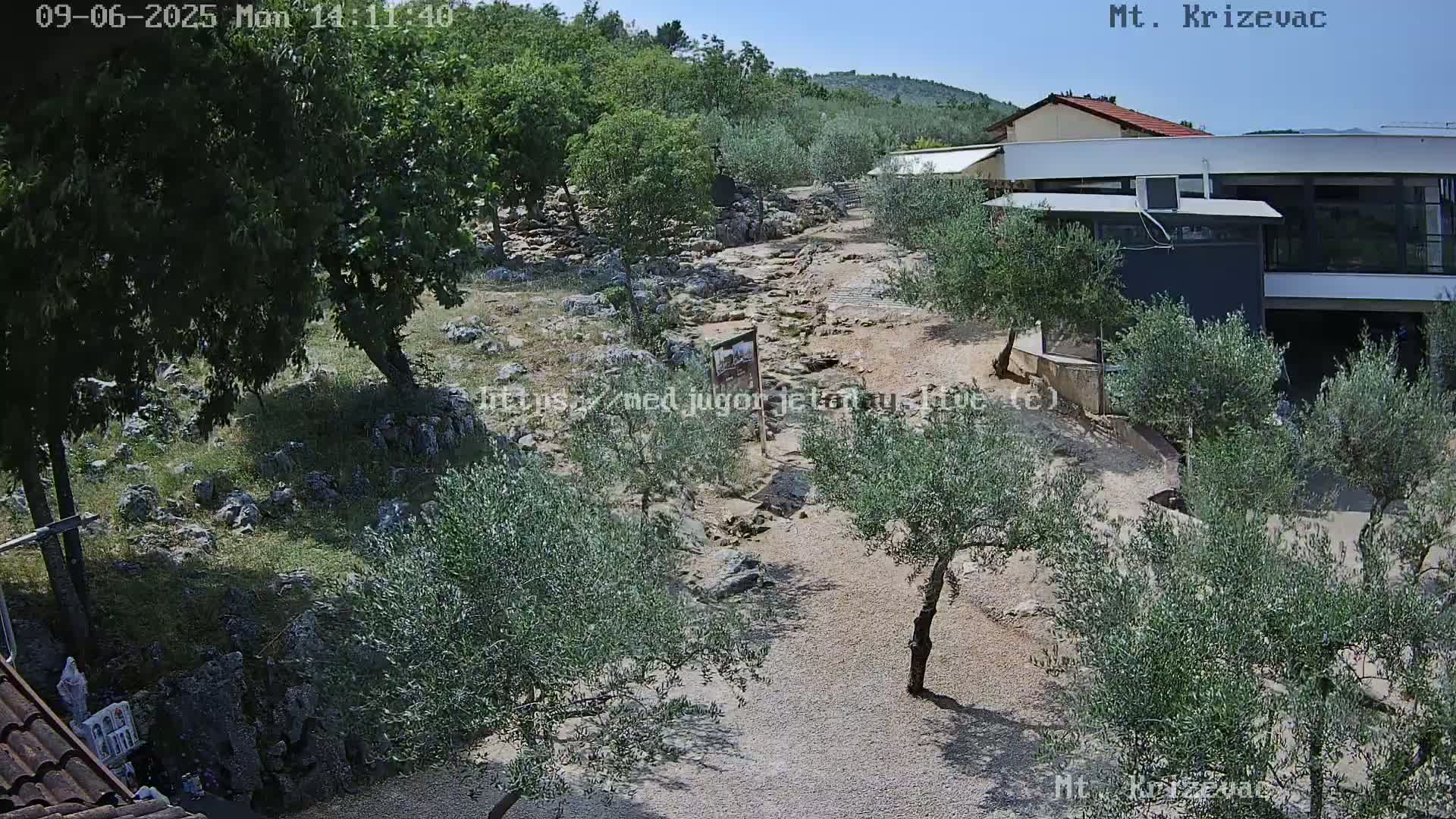 A rocky, dry creek bed winds through a sun-drenched landscape of olive trees and low buildings under a clear sky.
