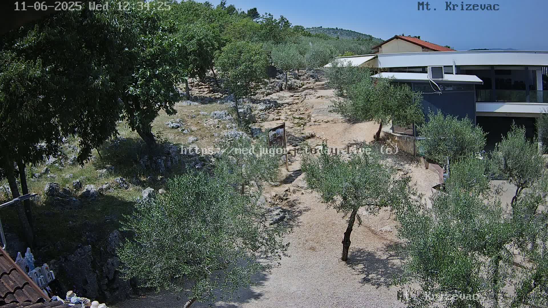 A sunlit rocky path winds through olive trees toward a modern building, under a clear blue sky.