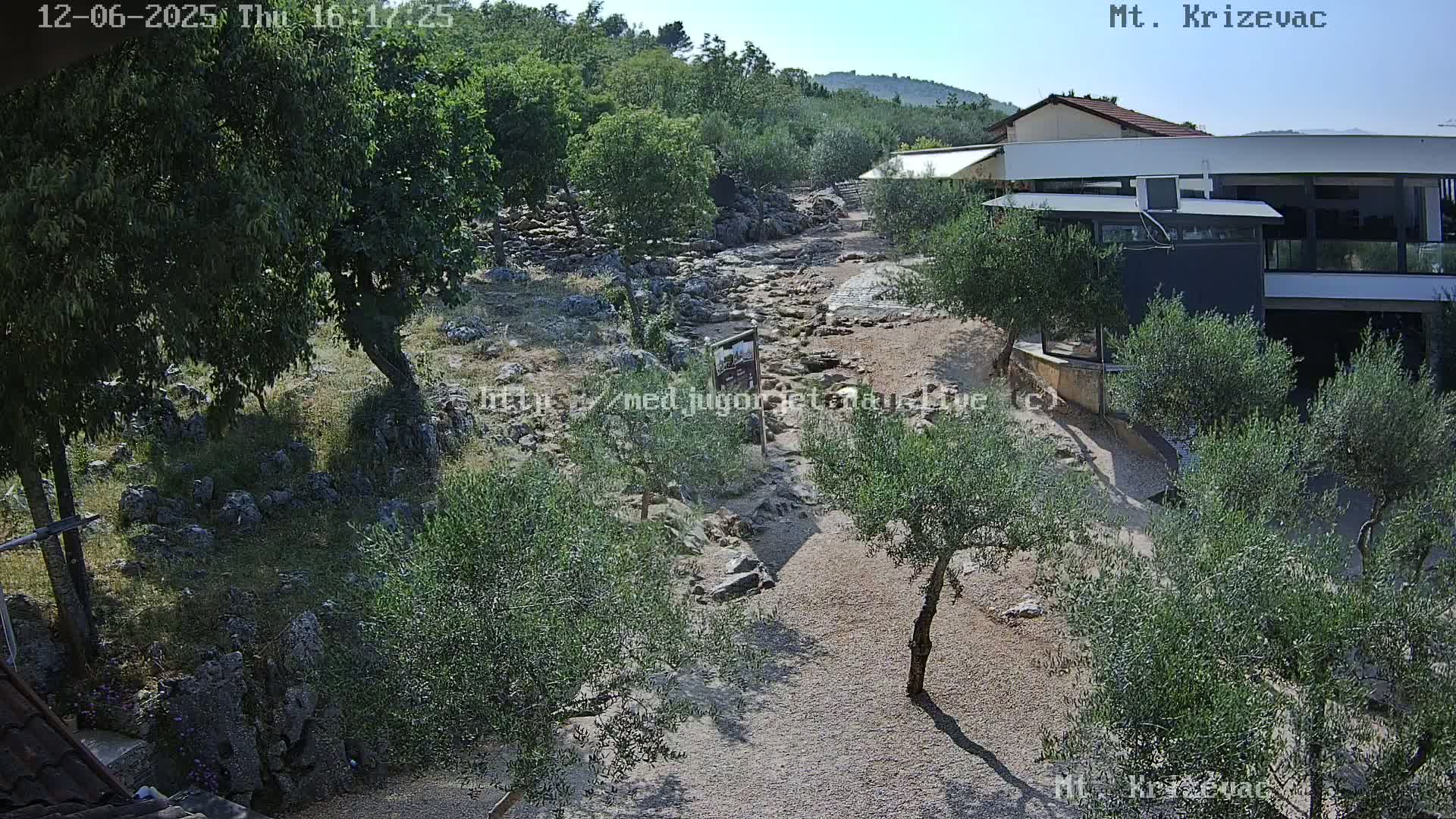 A rocky, dry creek bed winds through a landscape of olive trees and low-lying vegetation under a sunny sky, near a modern building.