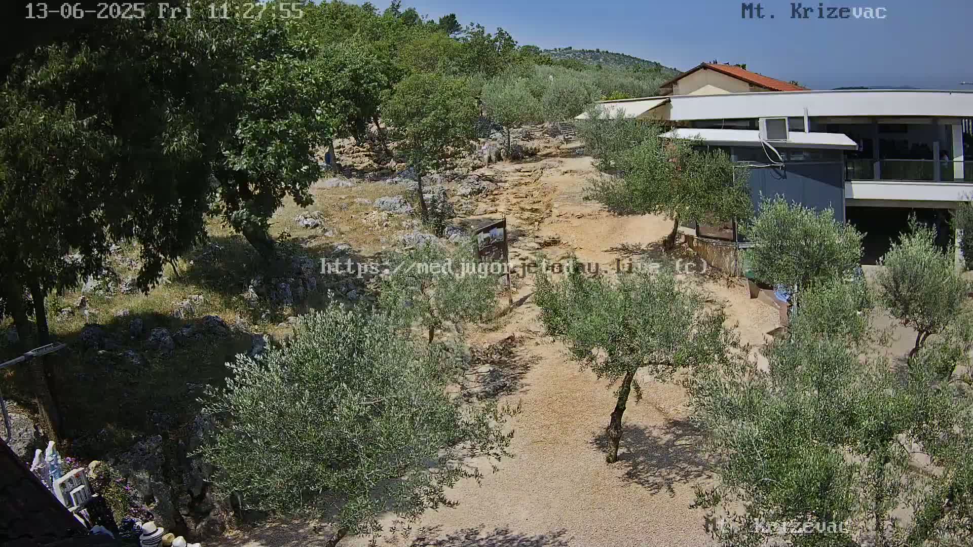 An elevated view shows a rocky, tan path winding through a grove of olive trees under a clear blue sky toward a modern building.