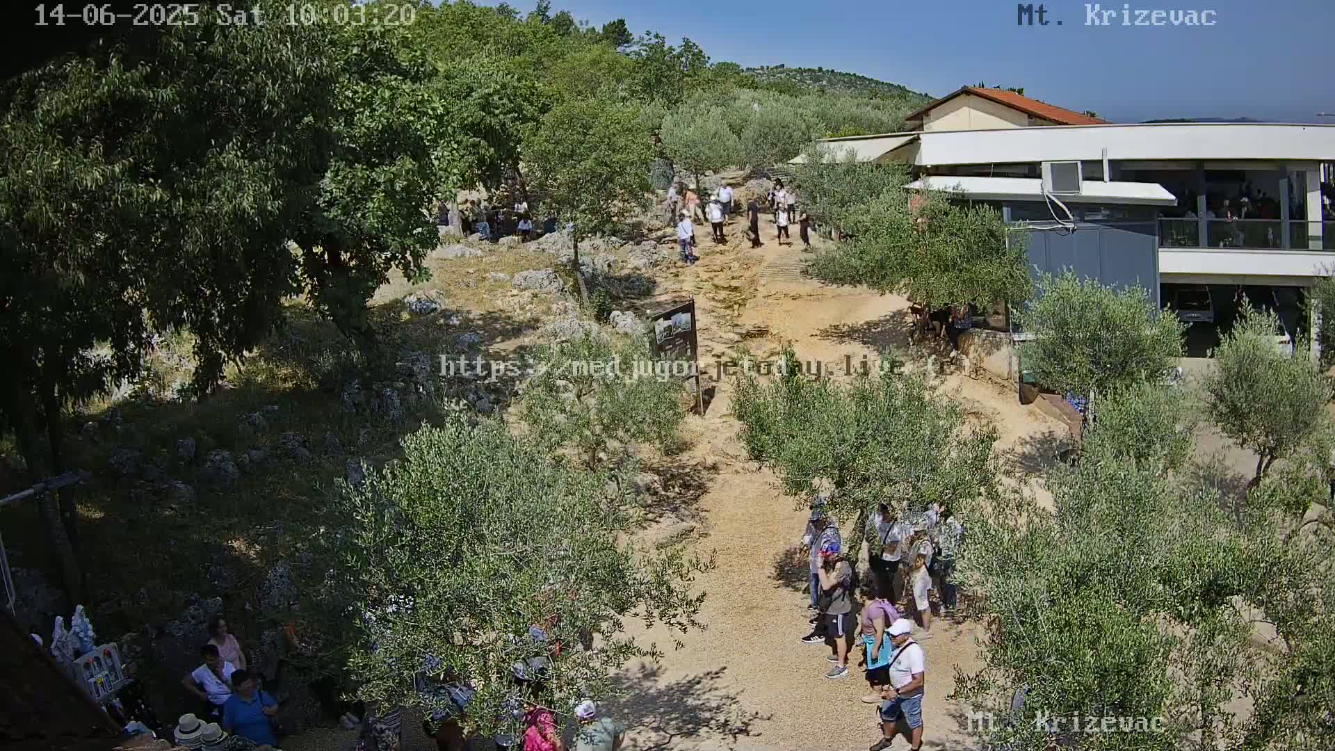 Under a sunny sky, groups of people are gathered on a light-brown, gravel path amidst olive trees near a building.