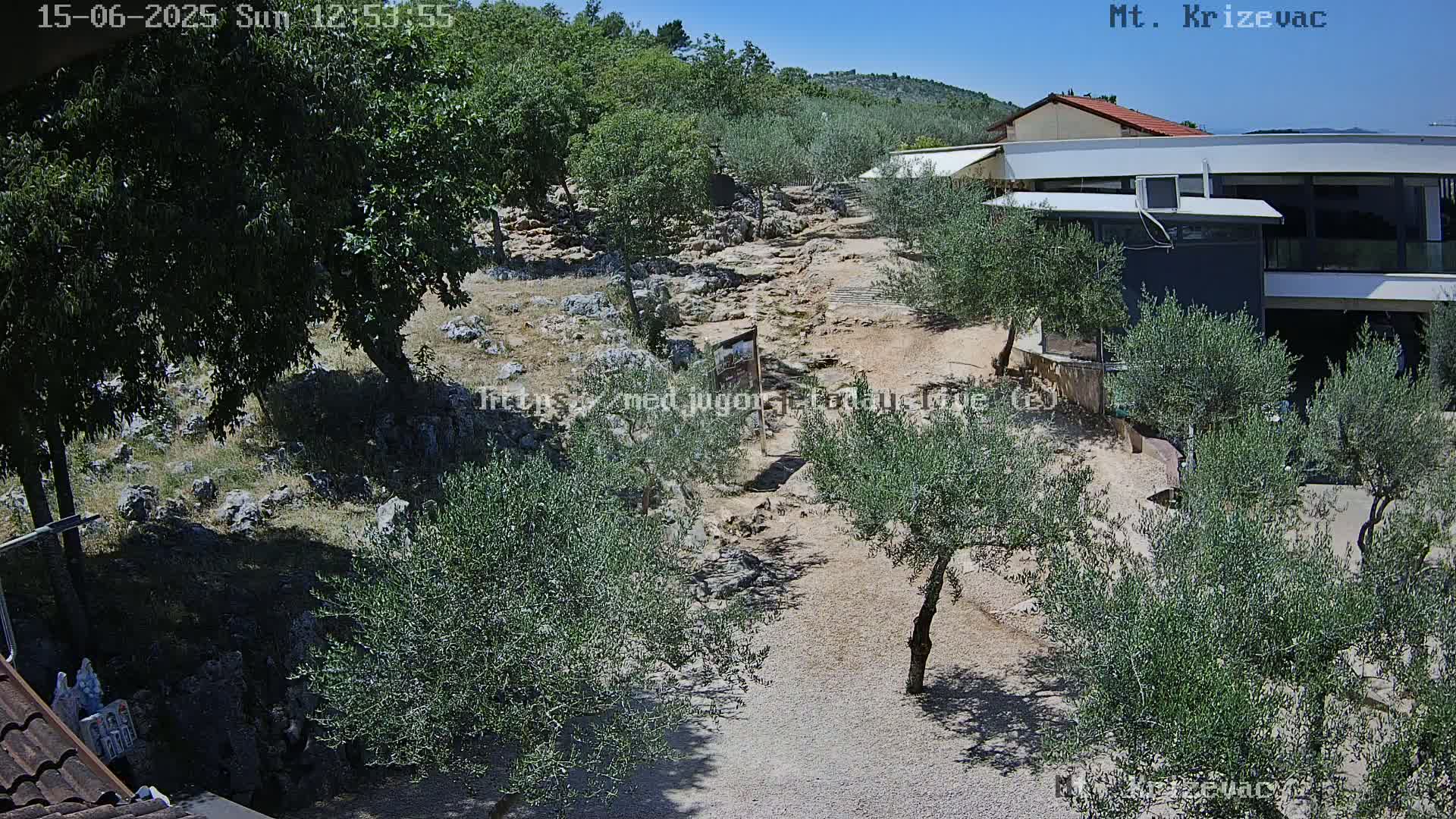 A gravel path winds through a rocky, hilly landscape dotted with olive trees under a clear, sunny sky, leading to a modern building.