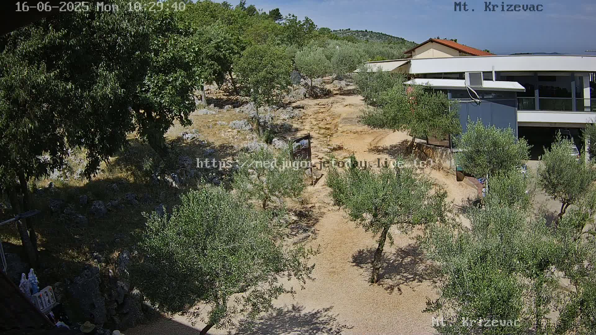 A rocky, sandy path winds through a grove of olive trees toward a modern building under a sunny sky.