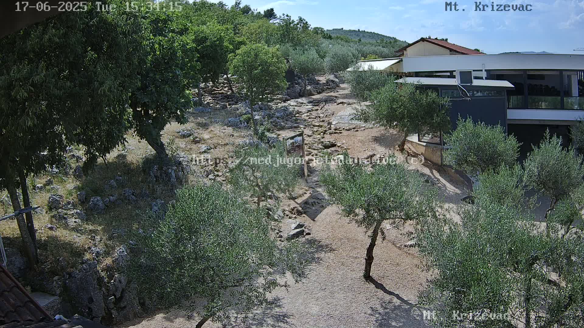 A rocky, sun-drenched path winds through a grove of olive trees toward a modern building, under a clear blue sky.