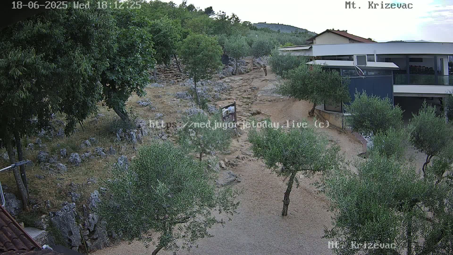 A rocky path winds through a grove of olive trees towards a modern building under a clear sky.