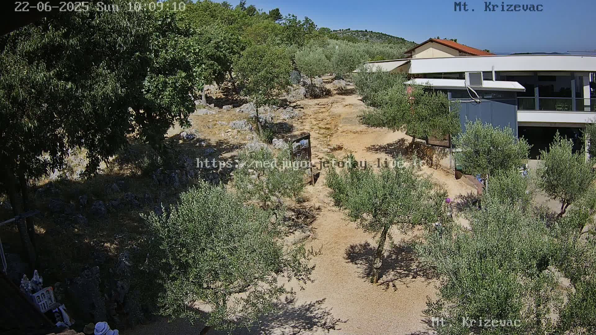A sunny outdoor scene shows a gravel path winding through a grove of olive trees towards a modern building, with hills visible in the background.