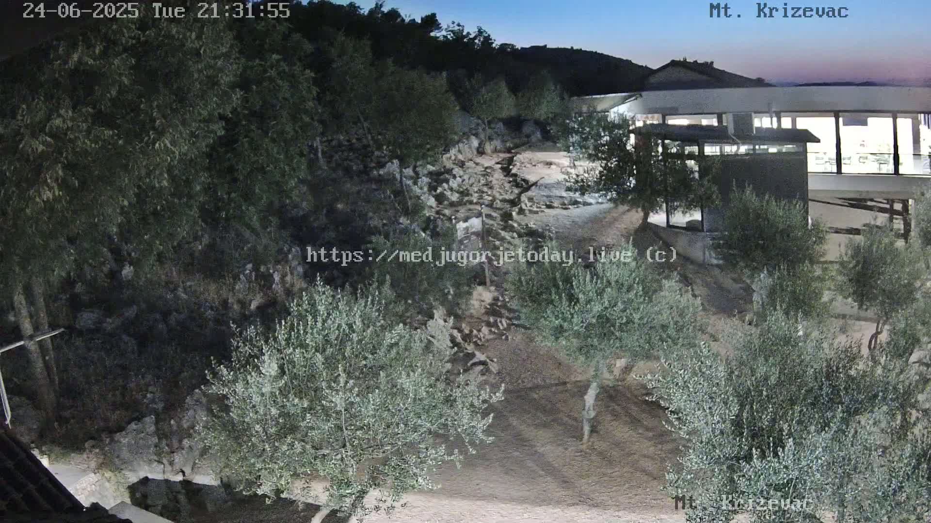 A nighttime, outdoor view shows a dry, rocky path winding through olive trees toward a modern building under a twilight sky.