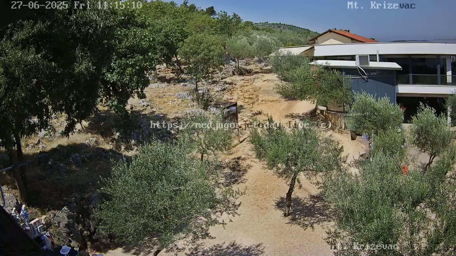 A sunny day reveals a rocky, tan-colored path winding through a grove of olive trees, toward a modern building partially obscured by foliage.