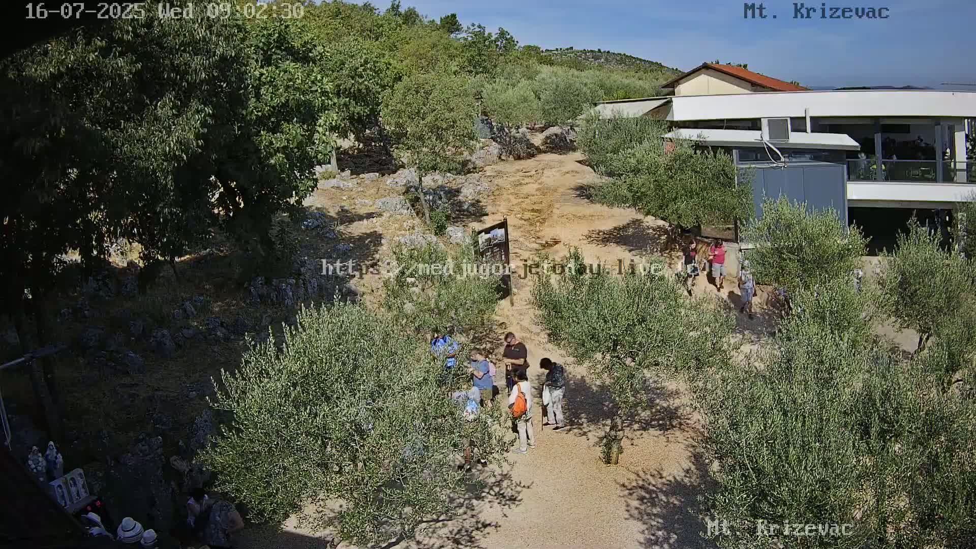 A group of people walk on a dirt path among olive trees on a sunny day near a building.