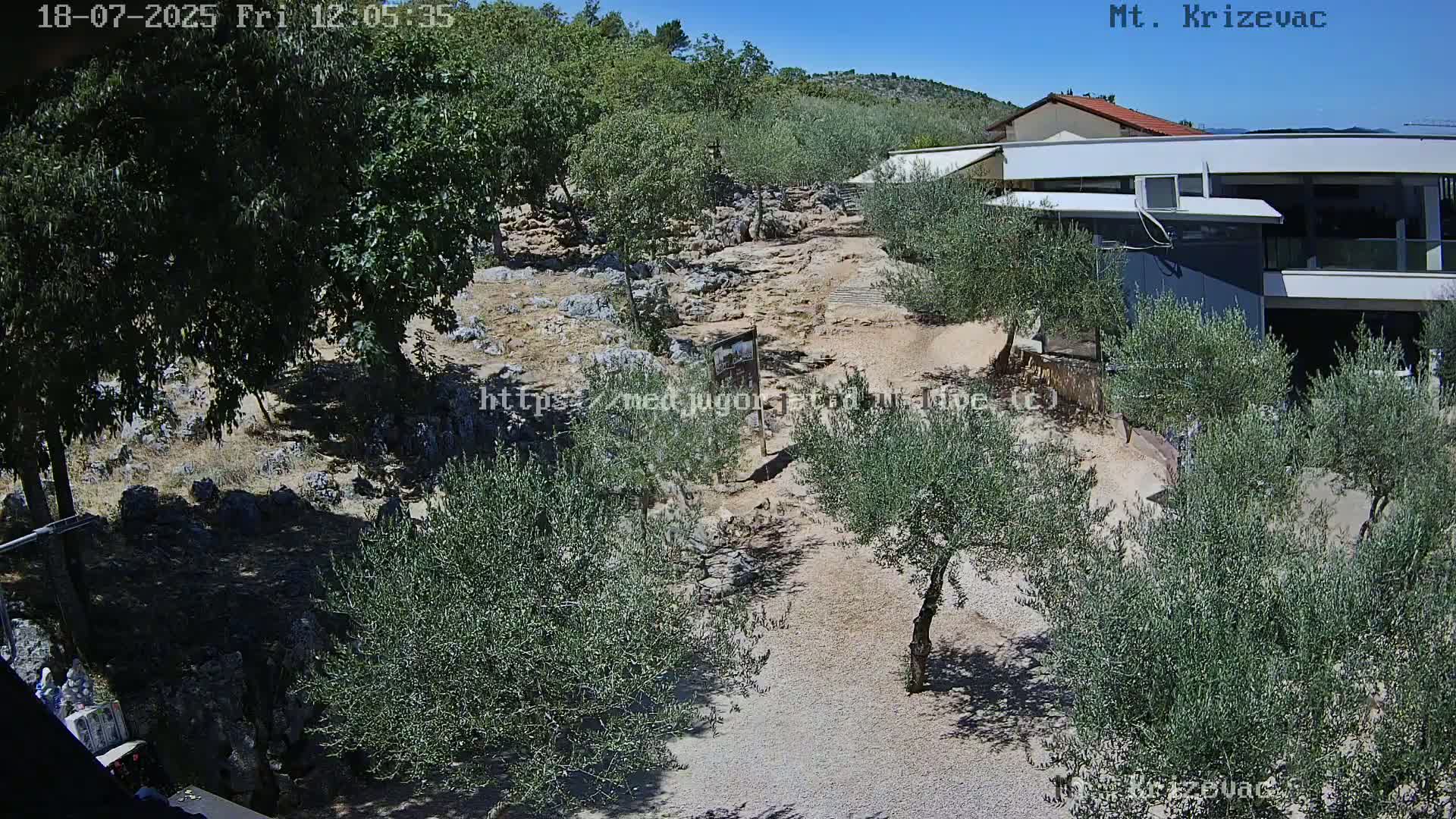 A rocky path winds through a grove of olive trees, leading to a building on a sunny day.