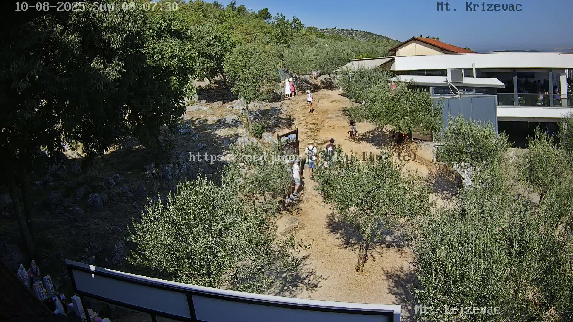 A sunny day shows a group of people walking on a sandy path lined with olive trees toward a building.
