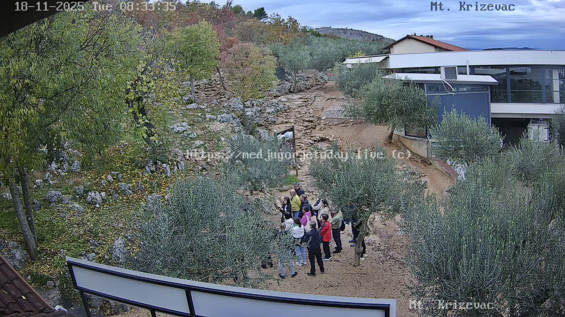 A sunny day shows a group of people walking on a sandy path lined with olive trees toward a building.