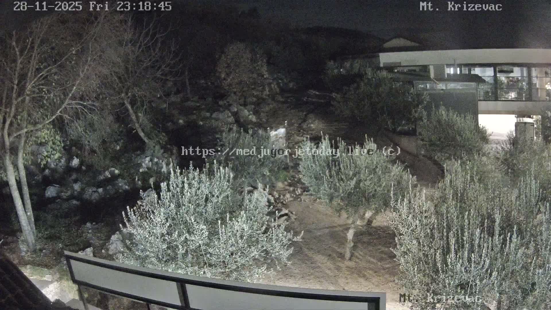 A clear, dark night reveals a rocky outdoor landscape featuring numerous olive trees and other sparse vegetation illuminated by artificial lights, with a modern building partially visible in the upper right.