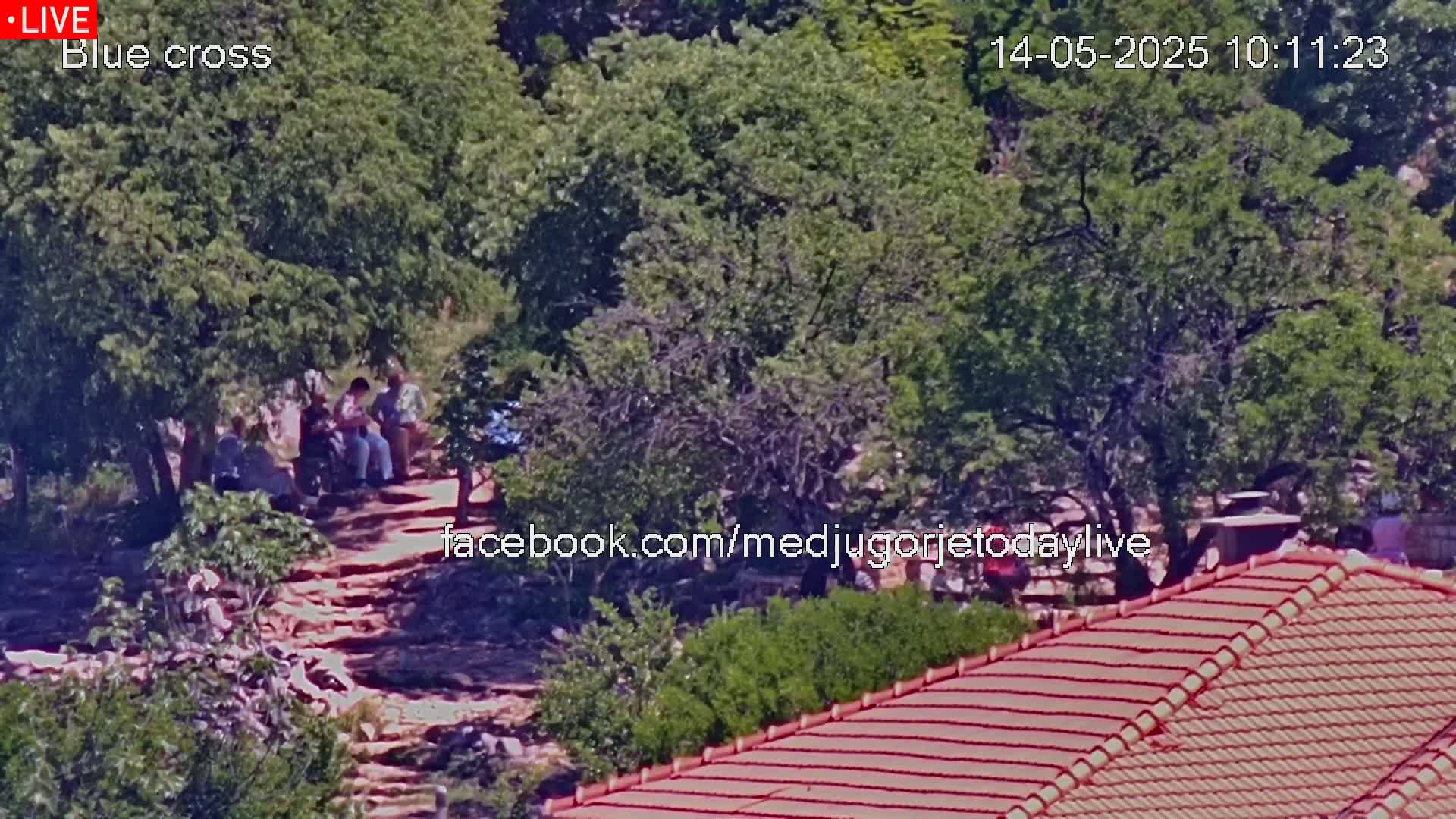 A group of people are gathered on a stone pathway amidst lush green trees on a sunny day.