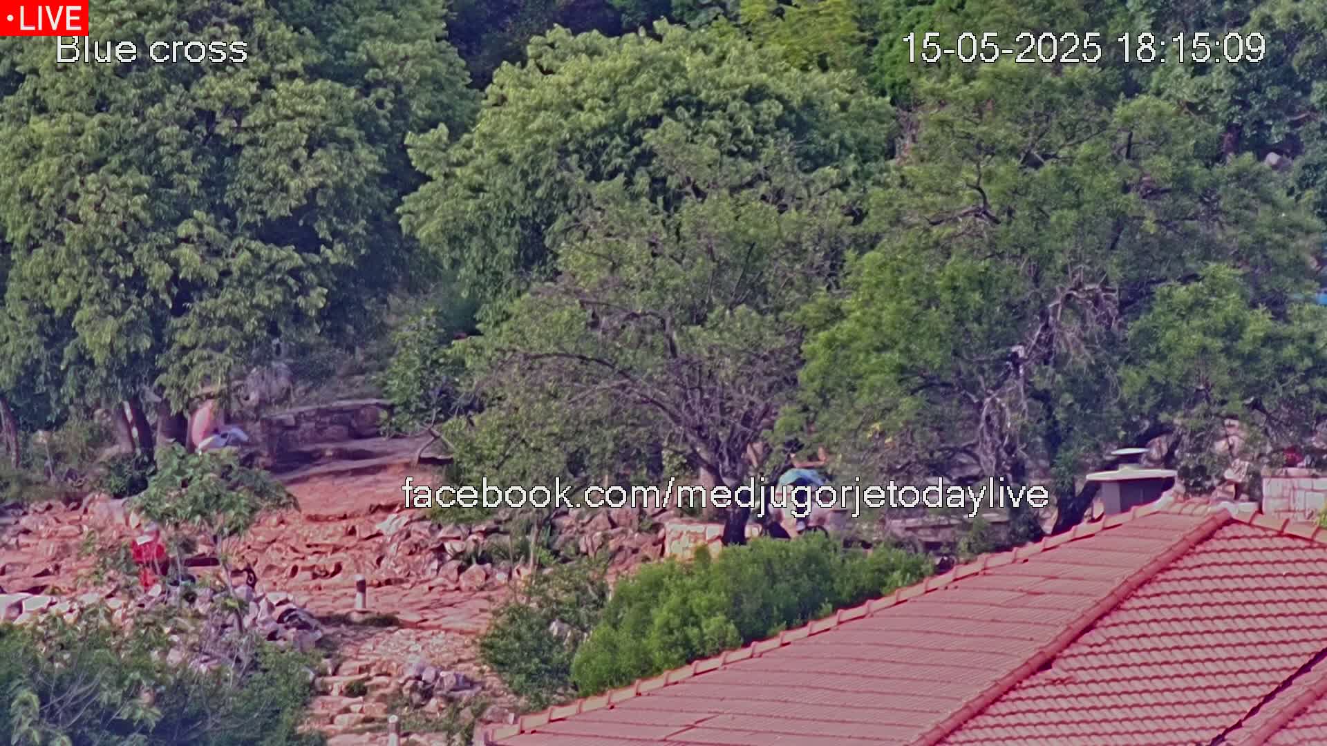 A rocky, debris-strewn area is partially visible below leafy green trees and a red-tiled roof, under a seemingly sunny sky.