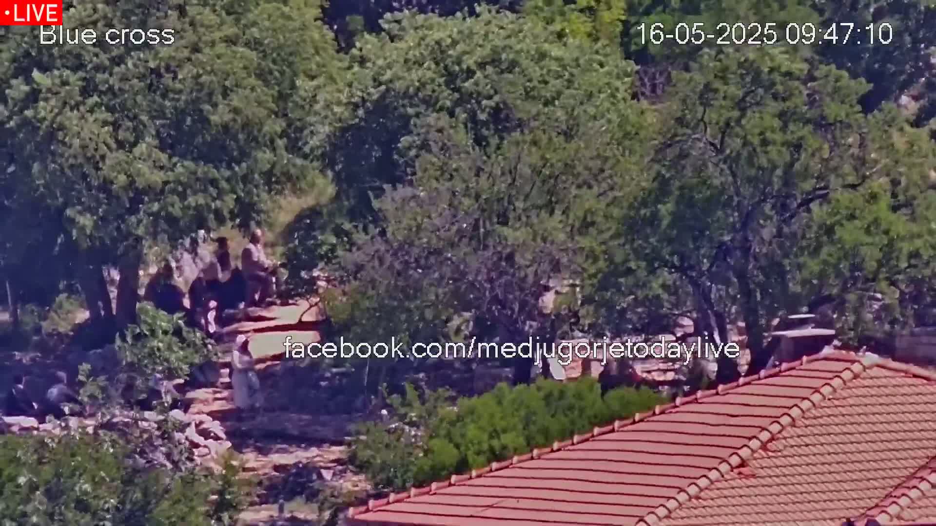 A high-angle view shows several people gathered near some trees and a rocky area, with a red-tiled roof visible in the foreground under a sunny sky.